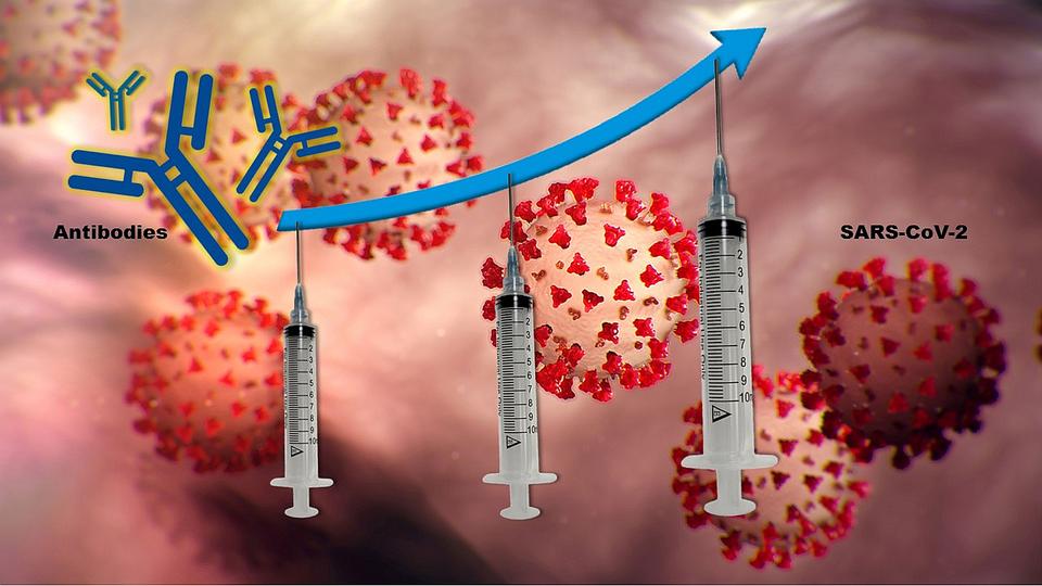 COVID-19 vaccine boosters may provide better protection for immunocompromised