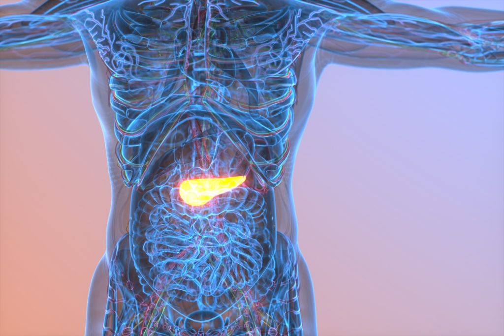 What are the risk factors for Pancreatic Cancer?